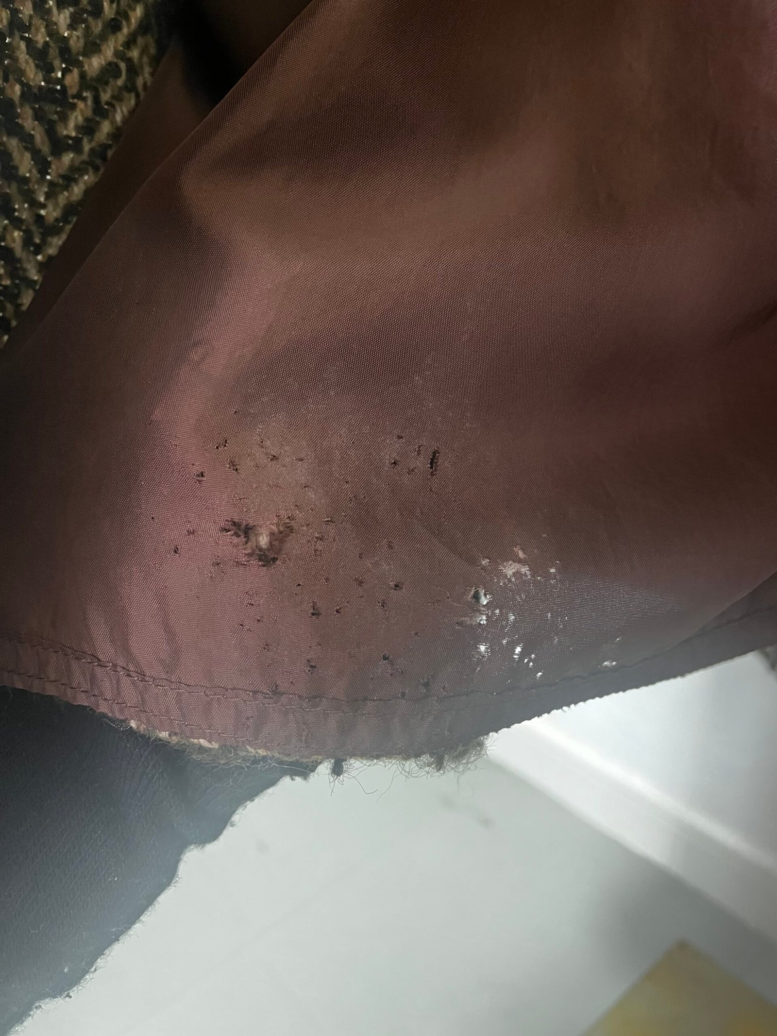 CAPA ESPIGA - Imagen 8